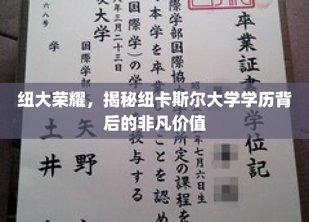 探寻纽大荣耀，揭秘学历背后的卓越价值