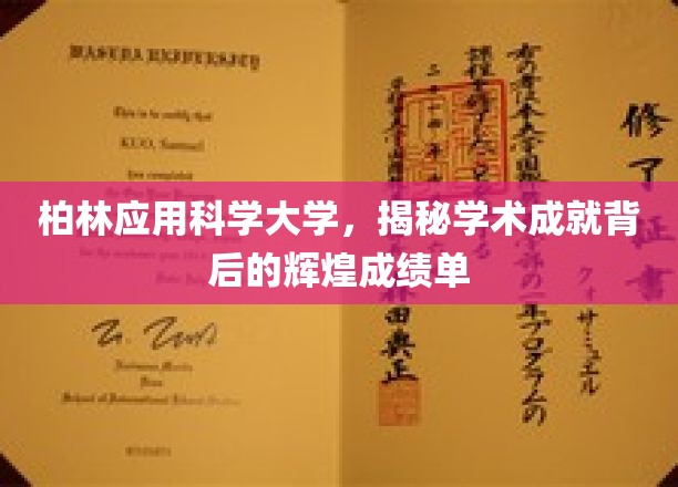 解码柏林应用科学大学，成就闪耀的学术成绩之谜