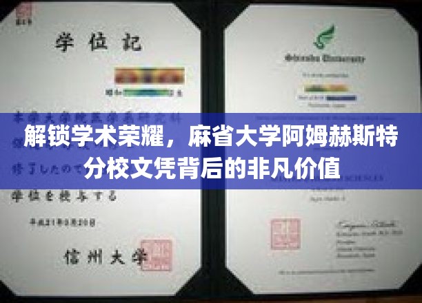 麻省大学阿姆赫斯特荣耀，一纸文凭背后的非凡价值揭秘