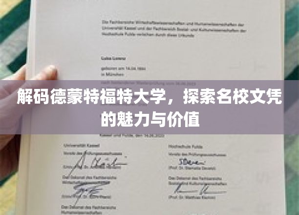 揭开德蒙特福特大学学位的奥秘，价值与魅力一探究竟