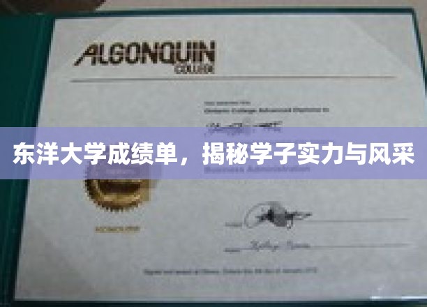 东洋大学成绩单，揭秘学子实力与风采