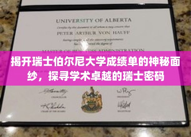 揭开瑞士伯尔尼大学成绩单的神秘面纱，探寻学术卓越的瑞士密码