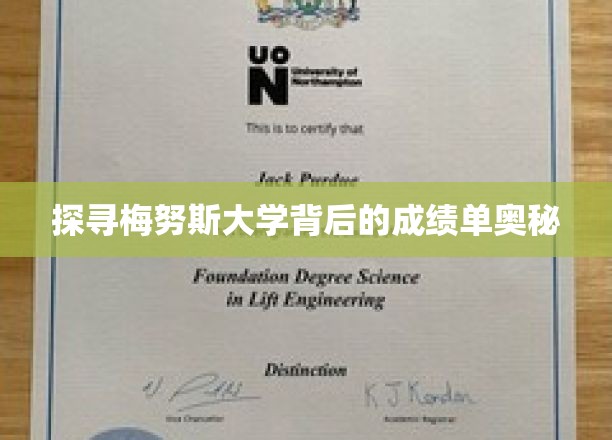 解码梅努斯大学卓越成就的神秘面纱