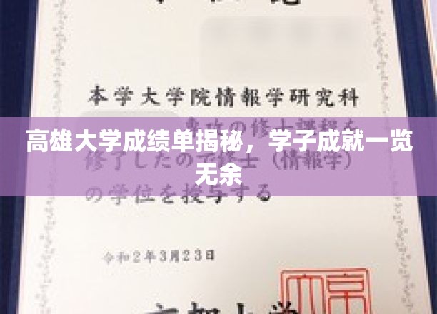 解码高雄学子荣耀，大学成绩单背后的真实风采