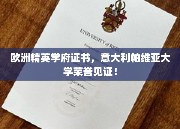欧洲精英学府荣誉证书，意大利帕维亚大学荣耀见证！