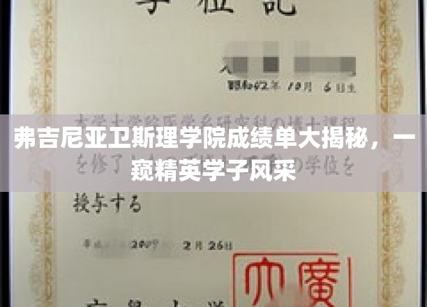 揭秘精英之路，弗吉尼亚卫斯理学院学子成绩单背后的风采展现