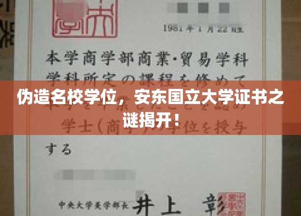 安东国立大学学历造假案，揭秘伪造名校学位背后的真相
