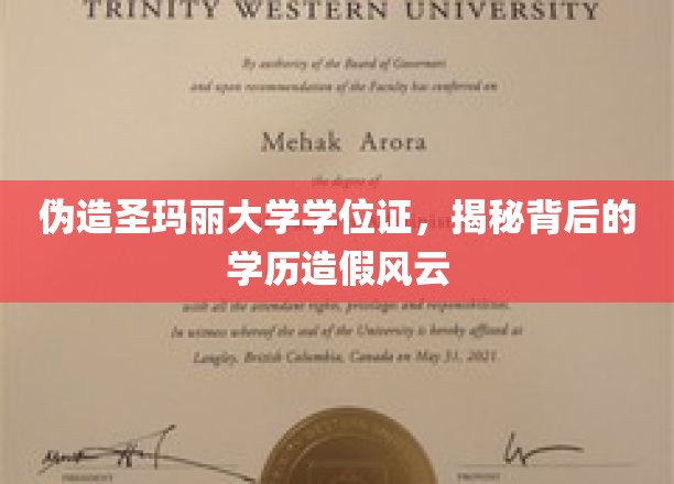 伪造圣玛丽大学学位证，揭秘背后的学历造假风云