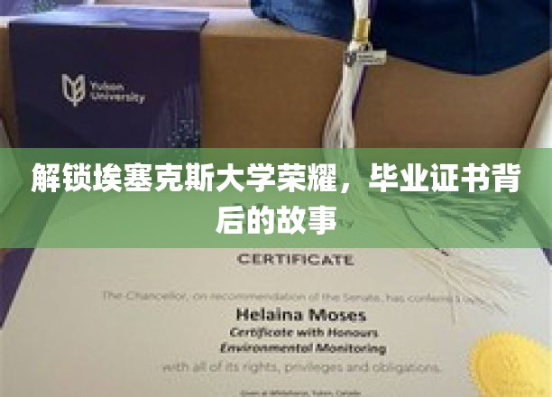 探寻埃塞克斯大学辉煌足迹，揭秘毕业证书背后的传奇故事
