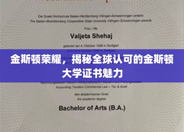 解码金斯顿荣耀，全球瞩目的大学证书背后的独特魅力