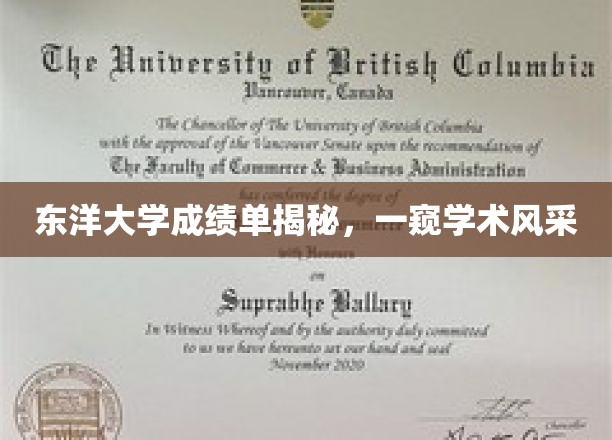 东洋大学成绩单背后的学术魅力大揭秘