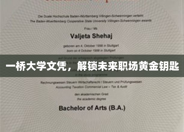 一桥大学文凭，开启职场成功之门