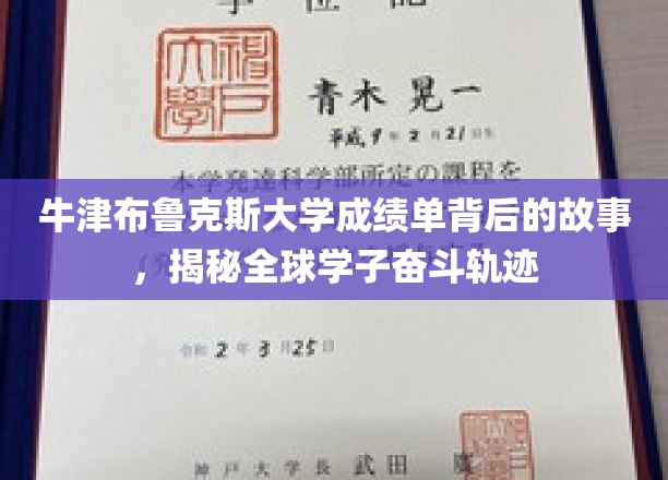 牛津布鲁克斯成绩单，映照世界学子奋斗之路的神秘面纱