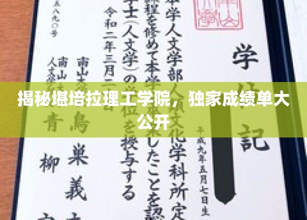 堪培拉理工学院风采绽放，揭秘独家成绩单背后的精彩故事