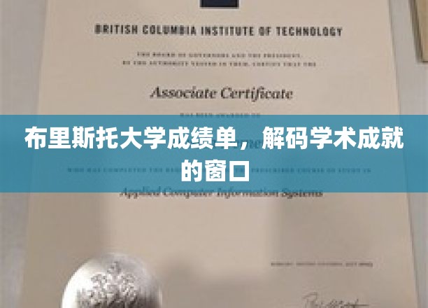 解锁学术荣耀，布里斯托大学成绩单背后的故事