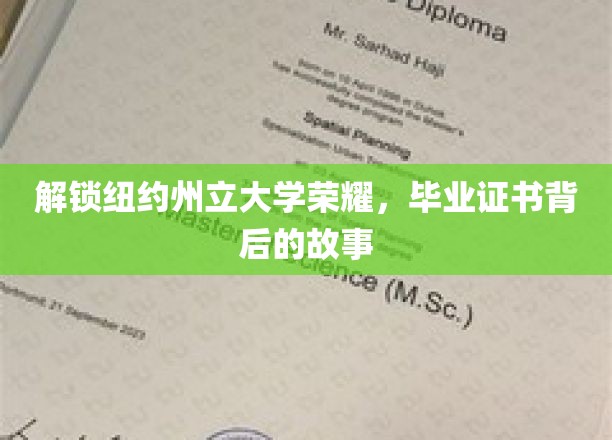 揭开纽约州立大学荣耀之谜，毕业证书背后的传奇故事