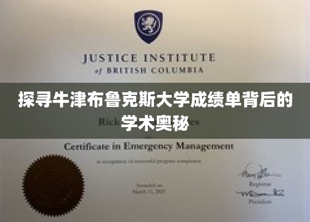 解码牛津布鲁克斯大学成绩单中的学术精髓