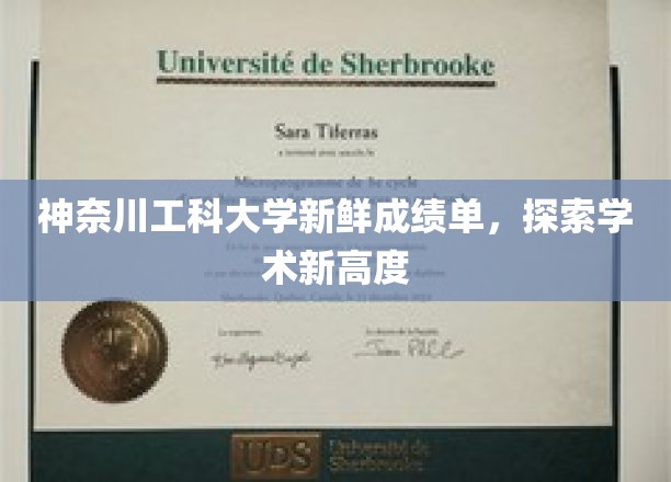 神奈川工科大学新鲜成绩单，探索学术新境界