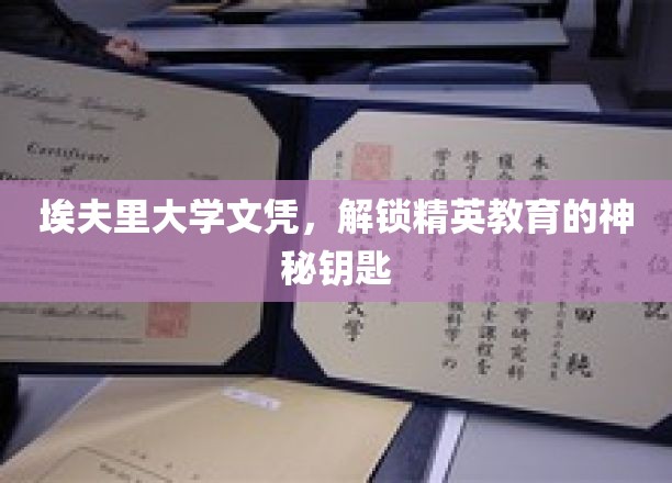 埃夫里大学文凭，开启精英教育的神秘之门