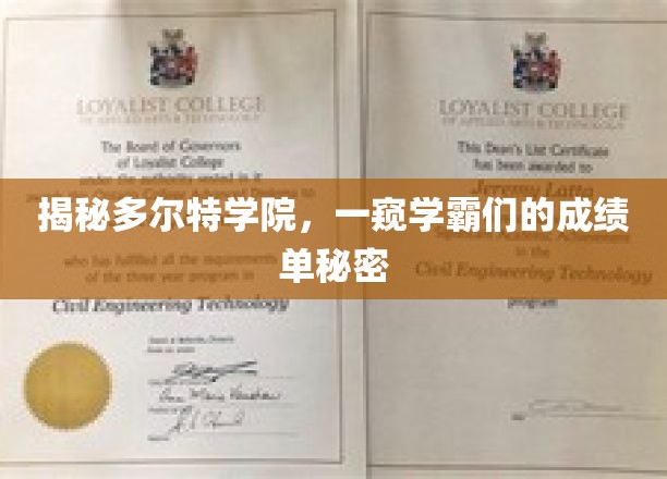 学霸云集的多尔特学院，揭秘他们的成绩单背后的故事