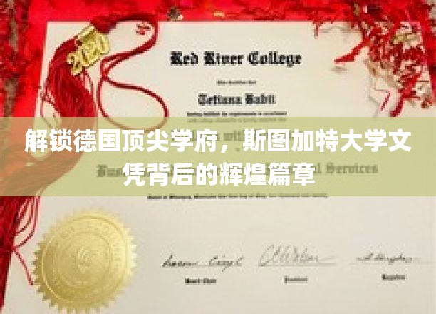 揭开斯图加特大学荣耀背后的学术传奇