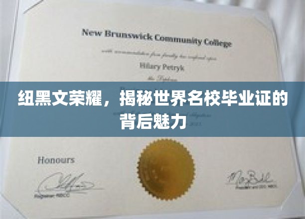 纽黑文荣耀，揭秘世界名校毕业证的背后魅力