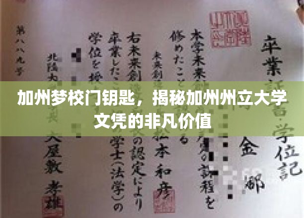 解锁加州教育宝藏，加州州立大学文凭的独特魅力
