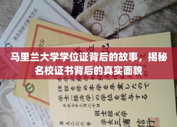 马里兰大学学位证背后的传奇，一探名校证书的奥秘与价值