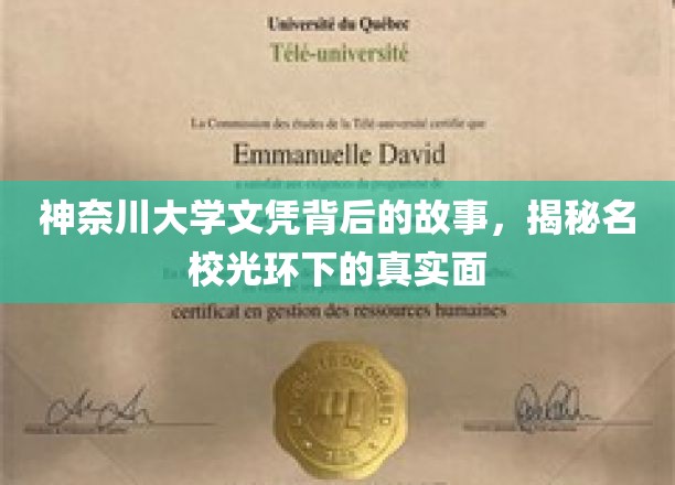 神奈川大学文凭背后的故事，揭秘名校光环下的真实面