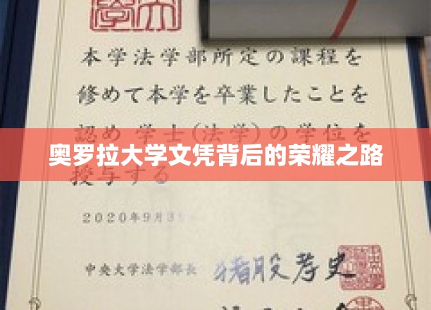 奥罗拉大学文凭背后的荣耀之路