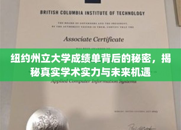 纽约州立大学成绩单背后的秘密，揭秘真实学术实力与未来机遇