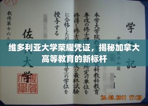 维多利亚大学证书荣耀，引领加拿大高等教育新风向