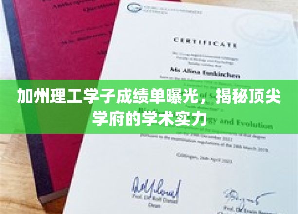 加州理工学子成绩单曝光，一窥精英学府的学术卓越