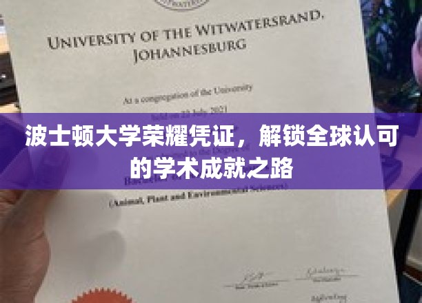 波士顿大学荣耀通行证，迈向国际学术巅峰的启航之旅