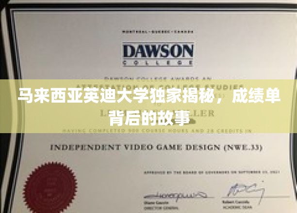 解码英迪大学，揭开成绩单背后的精彩篇章
