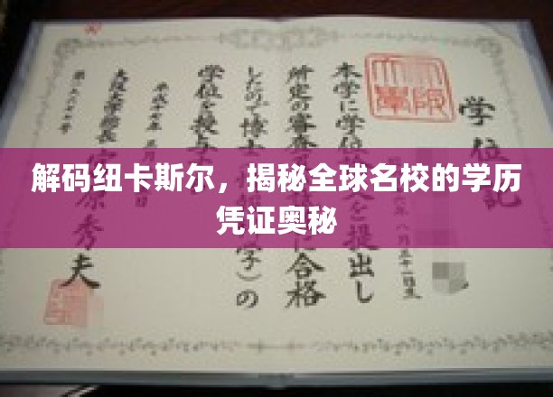 探寻纽卡斯尔大学的学位之谜，名校学历凭证的全球洞察