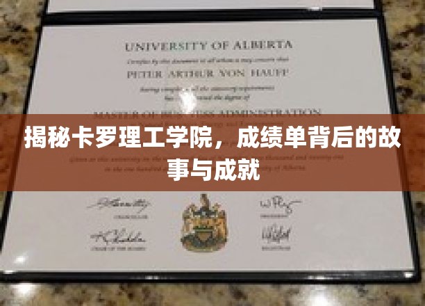 卡罗理工学院，揭开隐藏在成绩单背后的辉煌成就与传奇故事
