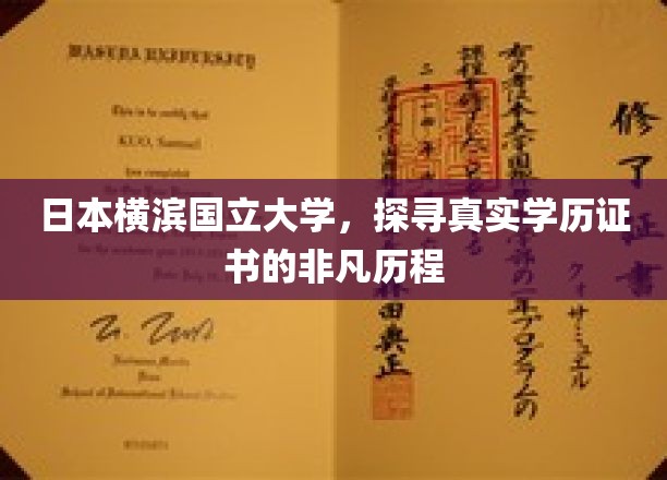 日本横滨国立大学，探寻真实学历证书的非凡历程