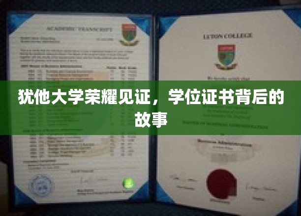 犹他荣耀，学位证书背后的传奇故事揭晓