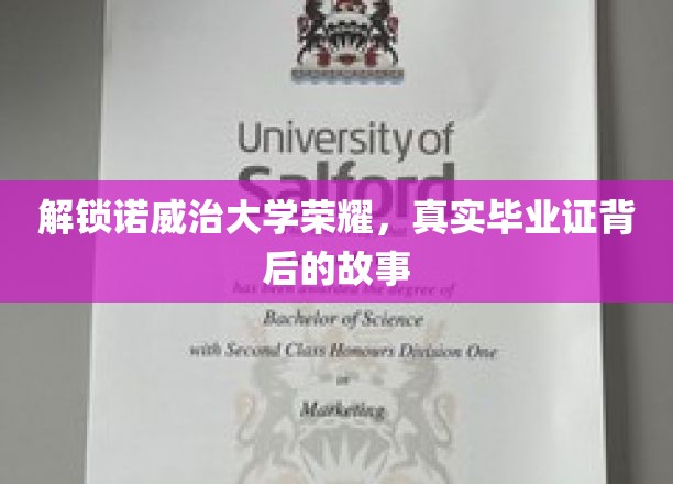 诺威治荣耀揭秘，毕业证书背后的不凡传奇