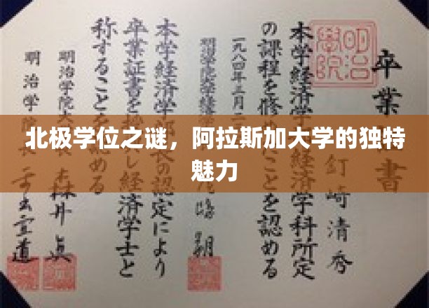 阿拉斯加大学，揭开北极学位的神秘面纱