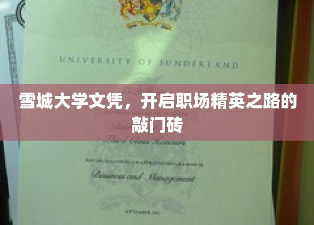 雪城大学文凭，职场精英起航的黄金钥匙