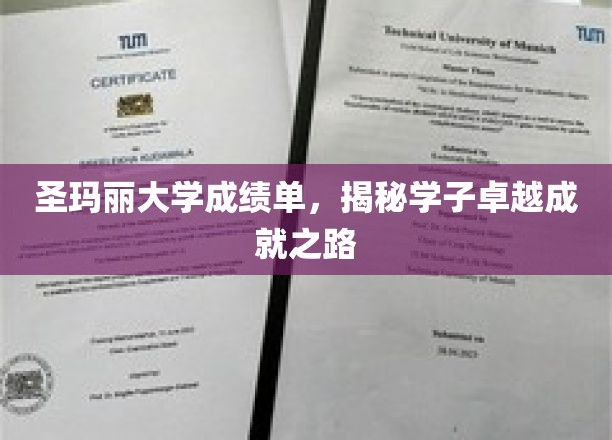 探寻圣玛丽学子卓越背后的成绩单秘密