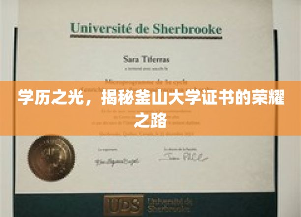 釜山大学证书荣耀，学历之光背后的非凡旅程