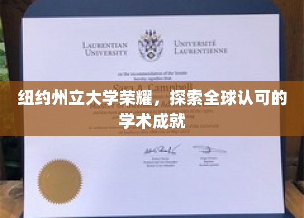 纽约州立大学，国际视野中的学术辉煌之旅
