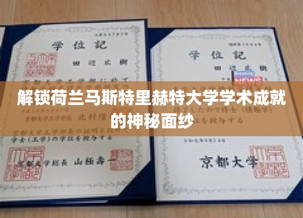 揭开马斯特里赫特大学卓越学术风采的神秘篇章