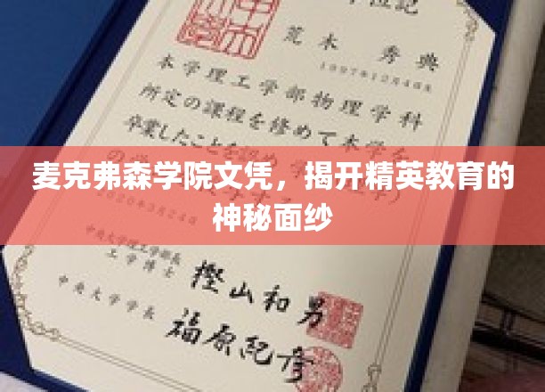 麦克弗森学院文凭，揭开精英教育的神秘面纱