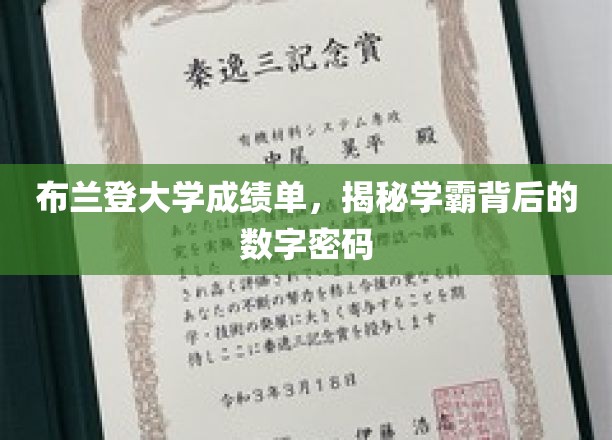 解码布兰登学霸，揭秘隐藏在成绩单背后的惊人秘密