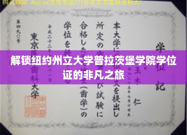 探寻普拉茨堡学院学位证书背后的传奇之旅