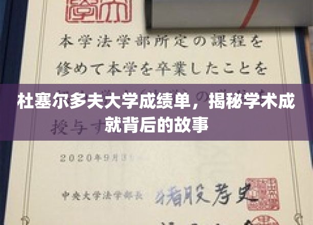 探寻杜塞尔多夫大学成绩单背后的辉煌历程
